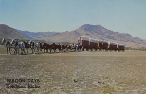 Postcard of a horse drawn wagon train near Ketchum, Idaho.  | An old original ore train (The place to go is Idaho) 16 horses up with the Jerk Line Skinner (Geo. Fleming) on the rear wheel horse. This famous old ore train can be seen at Ketchum, Idaho each year during "Wagon Days." Mr. Fleming is one of the old jerk line skinners who originally handled those wagons.