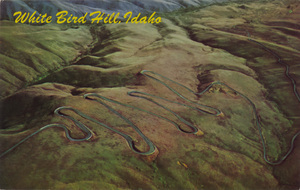 Postcard of the winding highway at White Bird Hill, Idaho. | White Bird Hill - with its "Twelve Switch Back Highway" on U.S. 95 is a Scenic Wonder. It rises more than 3000 ft. in 11 miles to Camas Prairie on a 5% grade. Springtime is Wild Flower time on this hillside.