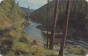 Postcard of the South Fork of the Clearwater River in Idaho.  | South Fork of the Clearwater is one of Idaho's finest trout streams. Rank stands of timber, including the sightly Ponderosa, line the shores. This 50 mile stretch of water, heads near Elk City. Roads lead in from Grangeville and Kooskia. The same road tolls the history-lover to Dixie, Orogrande and Buffalo Hump, mining ghost-towns.