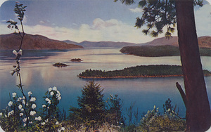 Postcard overlooking Lake Pend Oreille in Northern Idaho. | Syringa time, Lake Pend Oreille, North Idaho. Syringa is the Idaho Sate Flower and bathes the hillside with blooms in late June. This huge glacial cut lake is 50 miles long and is over 1000 ft. deep for 1 miles. Pend Oreille holds the world's record for largest kamloops and Dolly Varden trout.