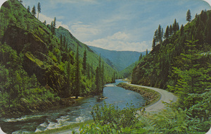 Postcard of the Lewis and Clark Highway.  | Lewis and Clark Highway near Old Man Creek. This stretch of Idaho backland is a goat haunt; also the habitat of deer, bear, moose, cougar and immense herds of elk. The black top road skirts the winding Middle Fork of the Clearwater and Lochsa Rivers for 80 miles and cuts through America's greatest wilderness.