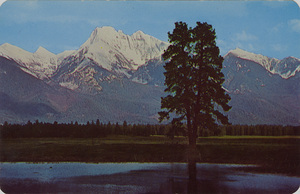 Postcard is a scene of Mount Harding in Montana.  | Mount Harding, 10,000 ft. white patriarch of the Mission Mountains - one of America's most beautiful ranges, lying between Missoula and Glacier Park. Hwy. 93 takes the traveler for a hundred miles within view of these seamy crags.