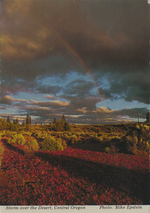 Postcard is a scene of a stormy sky over the Central Oregon desert. | Storm over the desert in Central Oregon.