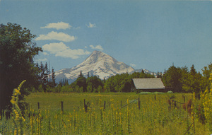 Postcard of Mount Hood from a field near Mt Hood Parkdale, Oregon. | Mt. Hood, Oregon. As seen in midsummer in upper Hood River Valley.