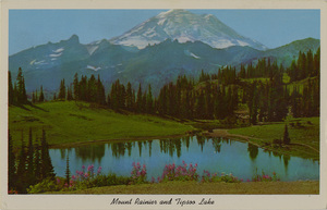 Postcard of Mt Rainier and Tipsoo Lake in Washington State. | Rainier and Tipsoo Lake near Chinook Pass.