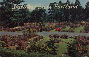 Postcard of the International Rose Test Garden in Portland, Oregon. | Greetings from Portland. Rose Gardens, Portland, Oregon. These are the experimental gardens of the city of Portland. Designed for experimental developmental work.
