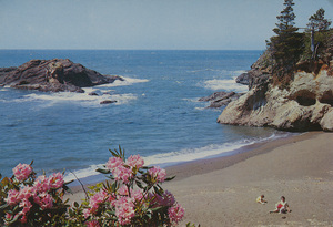 Postcard of a northwest coastal beach.  | Pacific Ocean Seacoast - Pounding surf, sparkling sands and a profusion of native flowers make the coastal region of Oregon and Washington a mecca for the tourist who seeks natural beauty at its loveliest.