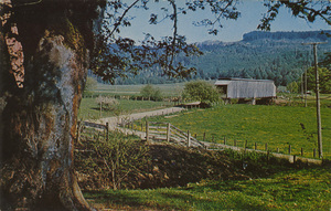 Postcard of the Grays River Bridge near Grays River, Washington. | Grays River, Wahkiakum County. On county road. Grays River covered bridge is only covered bridge in Washington State on a public highway. This 2 span bridge built 1905 is also the state's oldest.