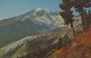 Postcard of Mount Rainier and Nisqually Glacier in Washington State.  | Mount Rainier and Nisqually Glacier. This autumn view shows the mountain's most active "Live" glacier.