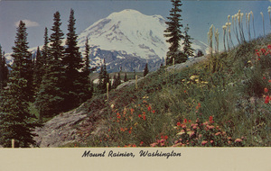 Postcard of Mount Rainier in Washington State.  | Mt. Rainier from Dewey Lake Trail, Washington.