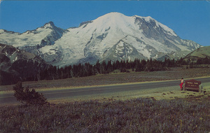 Postcard of Mount Rainier in Washington State.  | Mount Rainier and Flower Decked Meadows. The highway to Sunrise Park leads though verdant forests and on to the Alpine wonderland where camping facilities are available.
