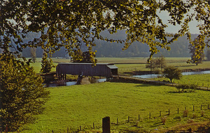 Postcard of the Grays River Bridge near Grays River, Washington. | Historic Covered Bridge. Located just off Highway 30, about 20 miles west of Cathlamet, Washington, one of the few covered bridges left in the Northwest. Built in 1905 at a cost of around $2700.00. The 158 foot span was covered in 1908. It is located on the Grays River in Wahkiakum County.