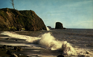 Postcard of Point Grenville on the coast of Washington state. | Point Grenville, Washington. It was here that the first white men landed in 1775. The Spaniards first explored the coastline of Washington and found this area most accessible.
