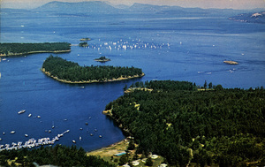 Postcard of sailboats in Roche Harbor in Washington State. |  Roche Harbor, starting point of the Pacific International Yachting Association 1961 Race. - Over one hundred sail boats. Roche Harbor, Washington.