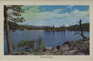 Long postcard with various scenes from Idaho.