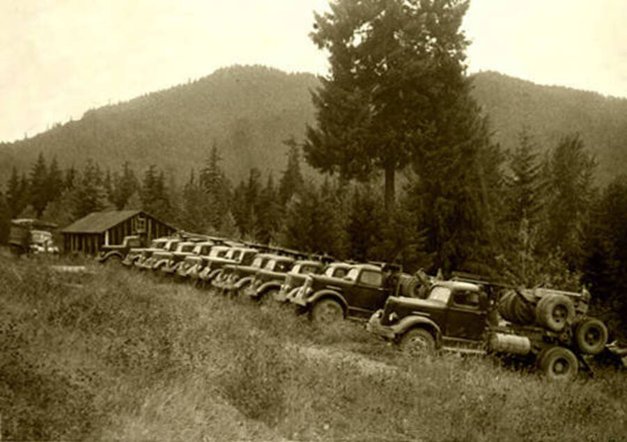 Rows of truck which were part of the Diamond Match log hauling fleet. The fleet was idle because of a strike. Donated by June Paul Paley through Priest Lake Museum.