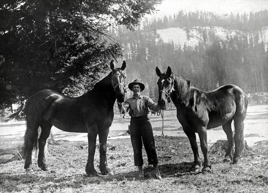 John Fulton stands in the middle of two work horses.