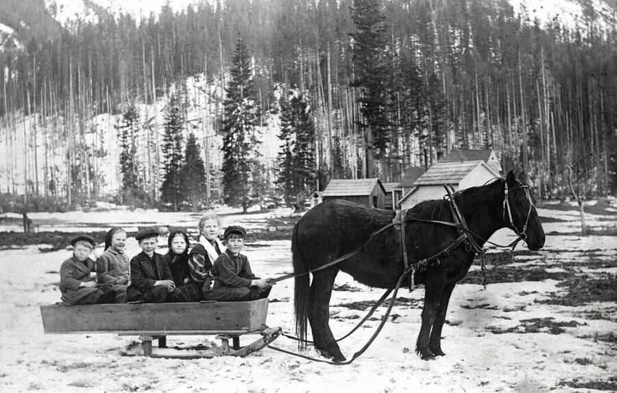 Six children sit in a horse-drawn sled.