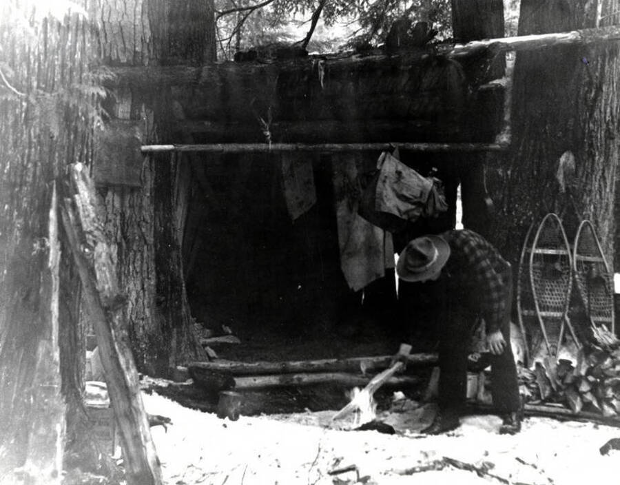 Trapper building a fire in front of a lean-to shelter during the winter.