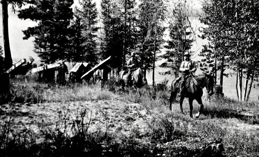 View of a pack train at Upper Priest Lake, Idaho.