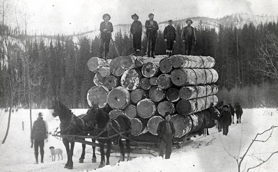 Five men standing on a load of logs being drawn through the snow by two horses. More people can be seen in the background.