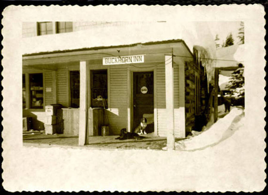 Exterior of the Buckhorn Inn in Nordman, Idaho during winter. Two dogs can be seen on the porch. Donated by Dorothy Bruno through Priest Lake Museum.