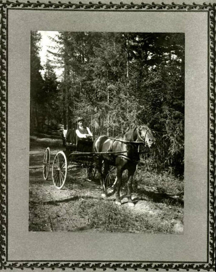 Walter W. Slee seated in a horse-drawn buggy. Donated by Harriet (Klein) Allen via Priest Lake Museum.