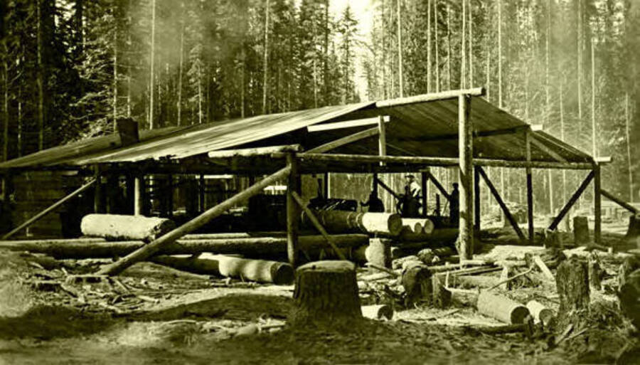 View of a sawmill. Donated by Viv Beardmore through Priest Lake Museum.