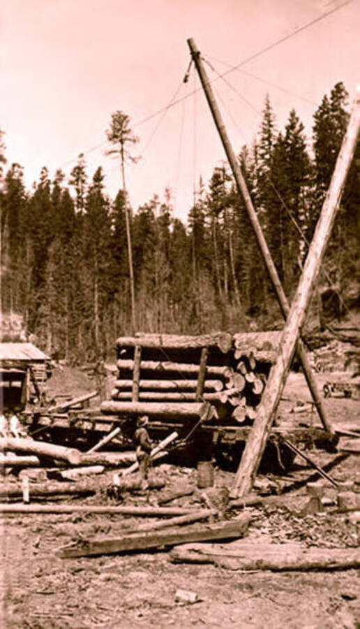 Pulley system loading logs on a railroad car at the Beardmore camp. Donated by Viv Beardmore through Priest Lake Museum.