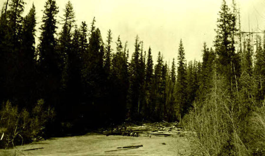 A log jam on the west branch of the Priest River, Idaho. Donated by Viv Beardmore through Priest Lake Museum.