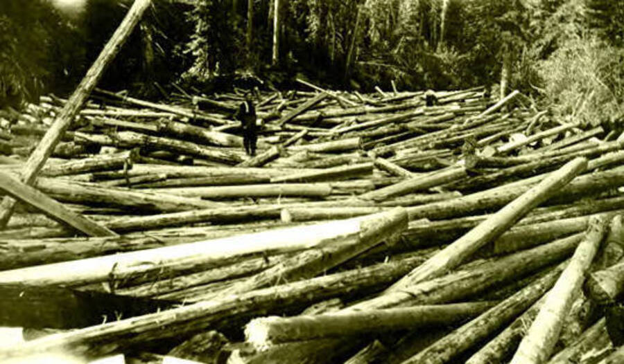 Logs on west branch of the Priest River. A man can be seen standing in the background. Donated by Viv Beardmore through Priest Lake Museum.
