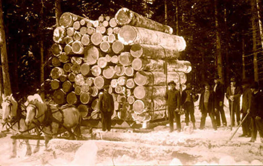 Logs loaded on a horse-drawn sleigh. Donated by Viv Beardmore through Priest Lake Museum.