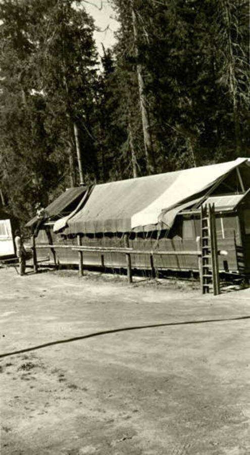 CCC workers putting tarp roof on. Donated by Red Gasterneau through Priest Lake Museum.