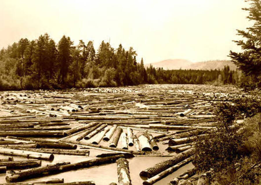 View of logs on the Priest River in Idaho. Donated by Red Gasterneau through Priest Lake Museum.