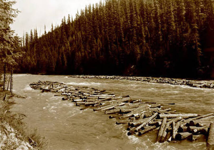 View of a log jams in a river. Donated by Red Gasterneau through Priest Lake Museum.