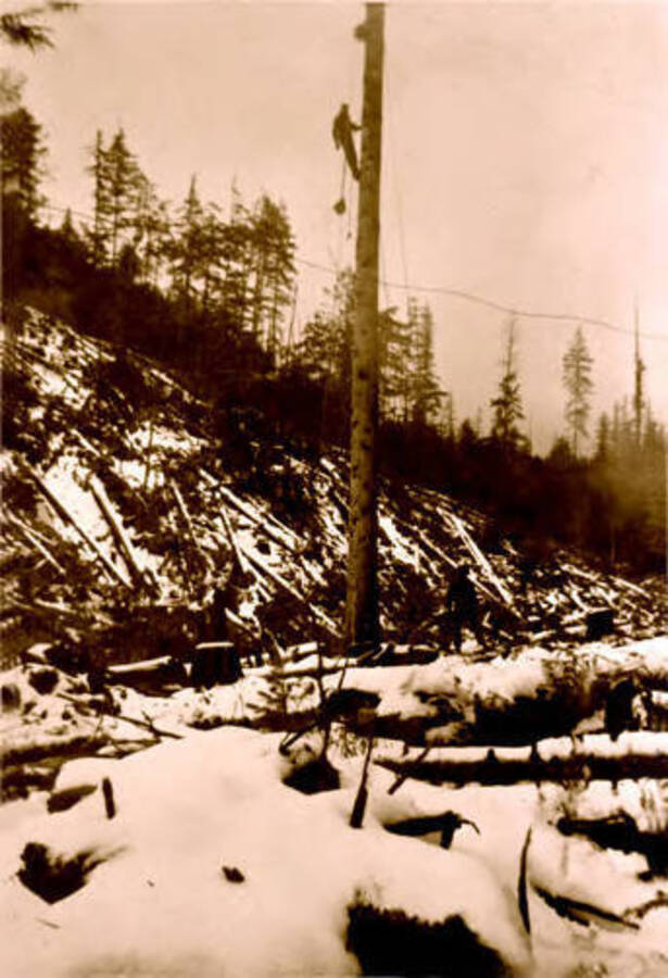 A man climbing a spar pole. Donated by Red Gasterneau through Priest Lake Museum.
