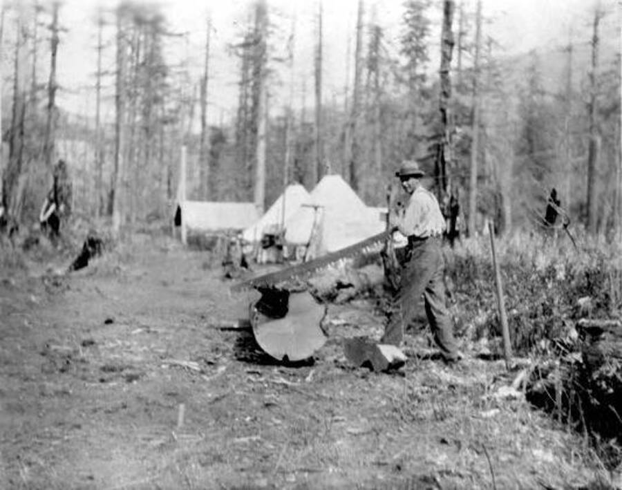 Donaldson (bull cook) cutting wood at Zero Creek Planting Camp. Donated by Carl Krueger through Priest Lake Museum.