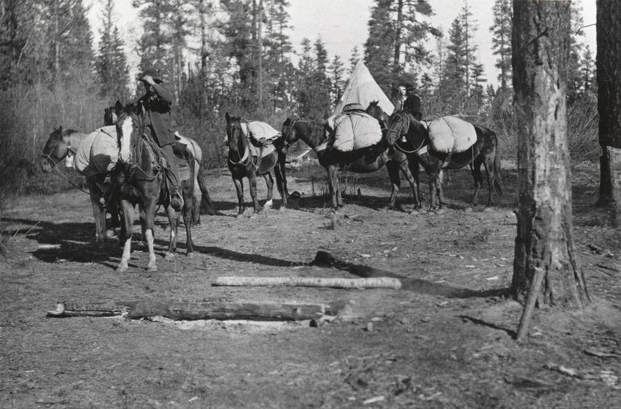 A pack train with a tipi in the background. Donated by Harriet (Klein) Allen through Priest Lake Museum.