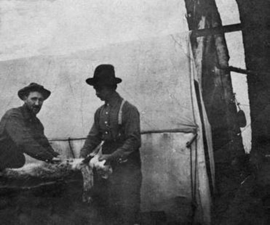Two men workings on skinning a cougar. Donated by William Warren through Priest Lake Museum.
