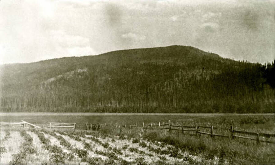 View of the Green homestead. Soldier Creek, Idaho. Donated by William Warren through Priest Lake Museum.
