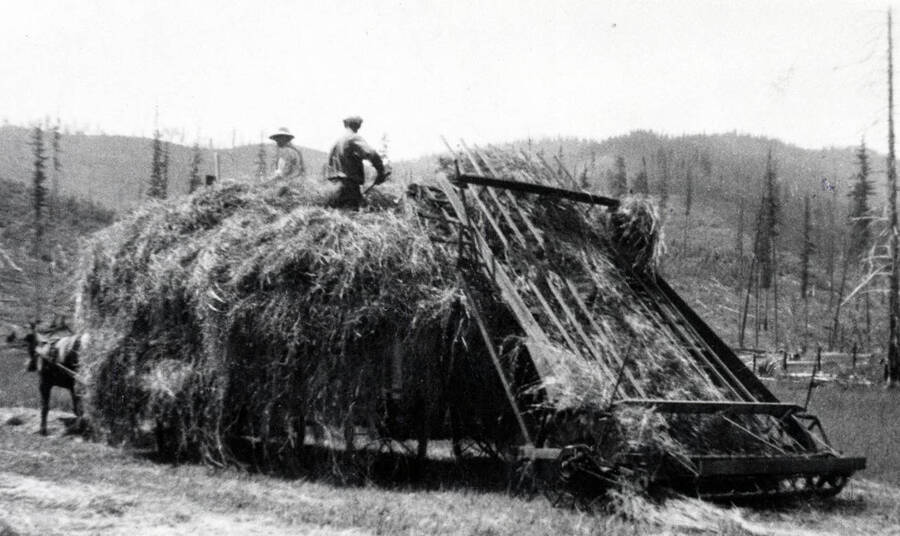 Two men on top of a load of hay.