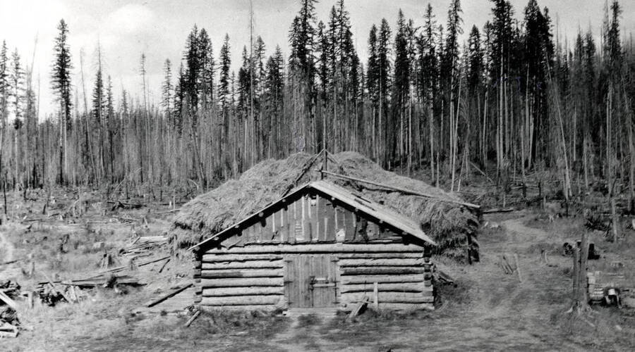 Exterior view of a ranch log dug-out.