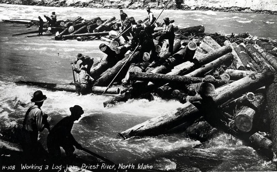 A crew of men working to remove a log jam on Priest River. Print of Ross Hall postcard.
