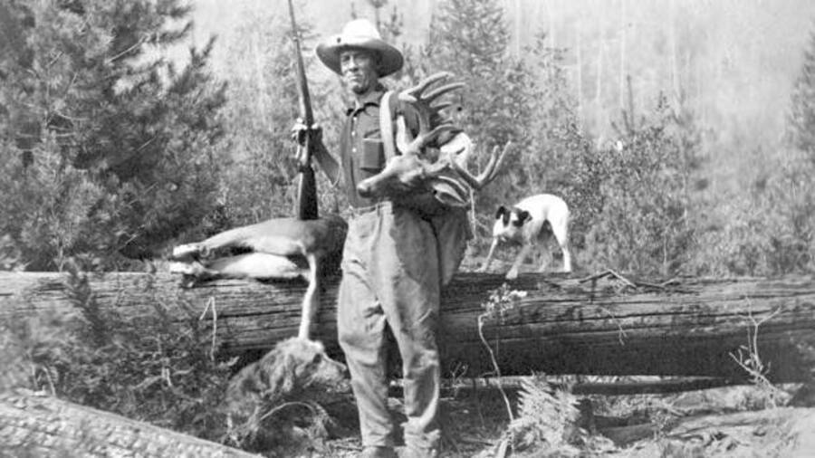 Donald Winslow standing with a harvested whitetailed-deer buck. Two dogs can also be seen. Donated by Mike Winslow through Priest Lake Museum.