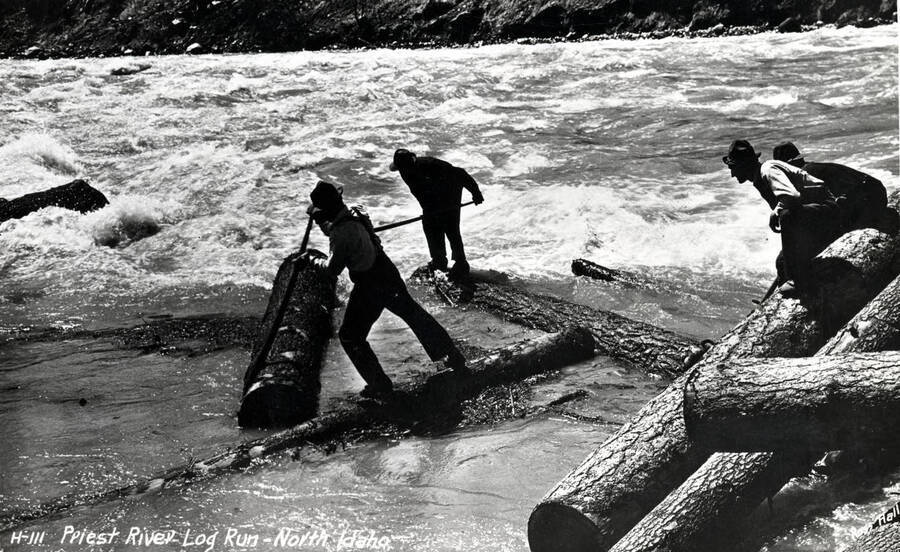 Men using peavies to work logs into the Priest River, Idaho. Print of Ross Hall postcard.