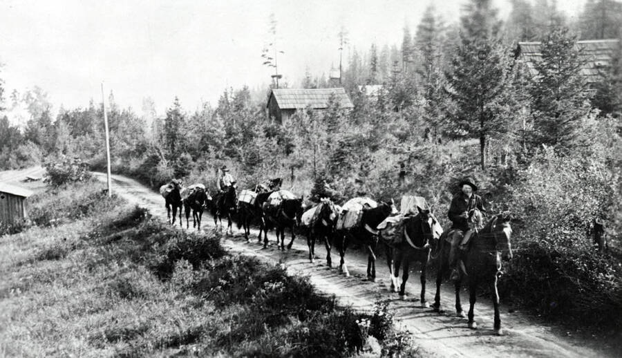 Pack train heading out of Coolin, Idaho. Donated by Marjorie (Paul) Roberts through Priest Lake Museum. Date: 1911