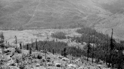 Looking west from Hughes Lookout. Donated by Lee White through Priest Lake Museum.