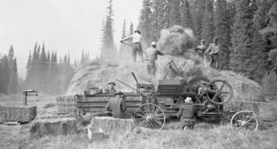 Workers haying in Squaw Valley. Donated by Lee White through Priest Lake Museum.