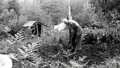 Lewis 'Pete' Chase working in his garden.