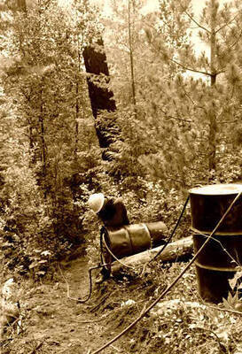 View of the Fox Creek PLTPA. Donated by Red Gasterneau through Priest Lake Museum.